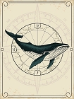 Nautical Whale Magnet