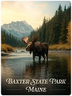 Moose River Mountain Magnet