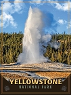 Yellowstone Geyser Small Sign