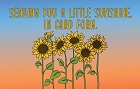 A Little Sunshine Pocket Hug