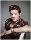 Elvis Portrait Metal Sign