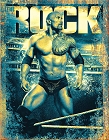 WWE Rock Metal Sign