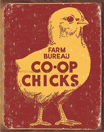 Co-Op Chicks Metal Sign