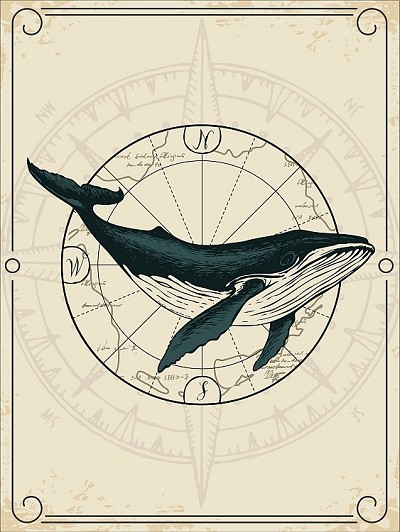 Nautical Whale Magnet