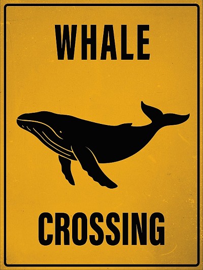 Crossing - Whale Magnet