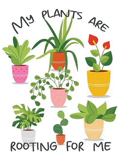 Plants are rooting Magnet