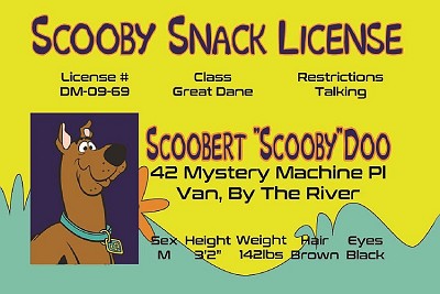 Scooby Doo Magnet