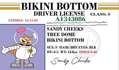 Sandy ID