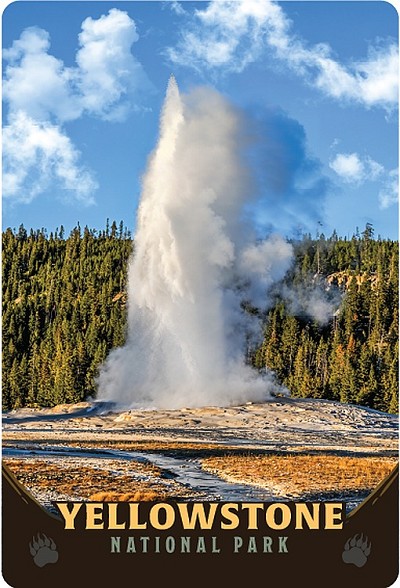 Yellowstone Geyser Postcard