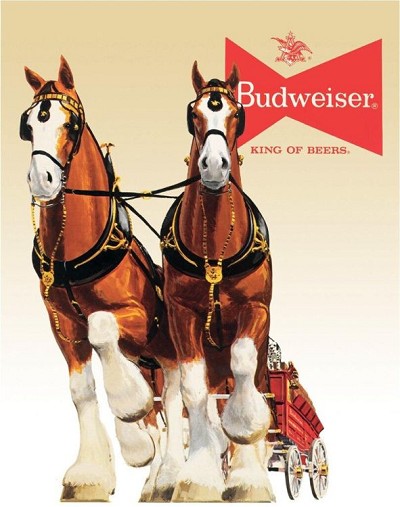 Bud Clydesdale Team Metal Tin Sign