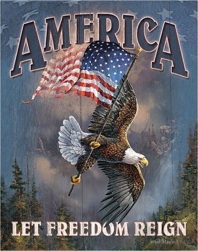 America - Let Freedom Reign Metal Sign