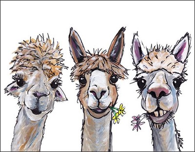Alpaca Trio Metal Sign