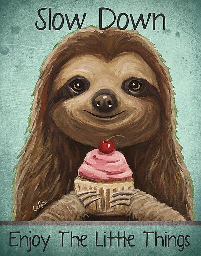 Sloth Slow Down Metal Sign