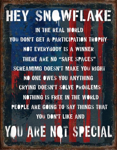 Hey Snowflake Metal Sign