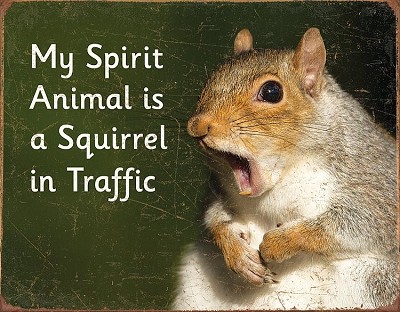 Ephemera - Spirit Animal Metal Sign