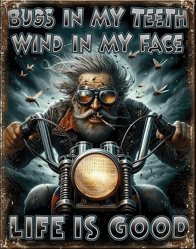 Old Biker Metal Sign
