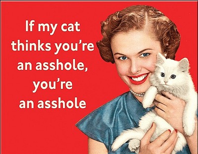 If My Cat Metal Sign