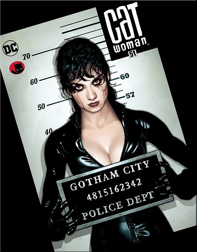 DC - Cat Woman Metal Sign