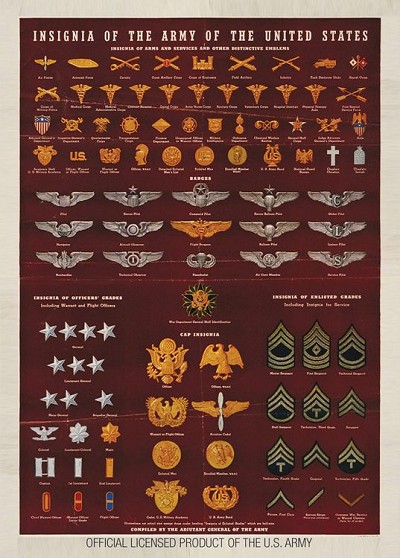 Army Insignia Magnet