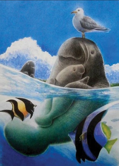 Manatee with Bird Magnet