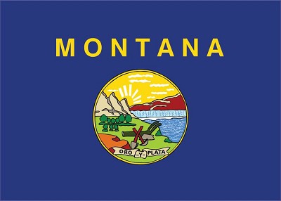 Montana State Magnet