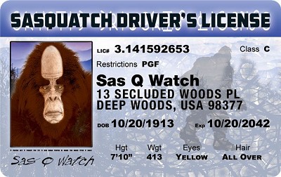 Sasquatch Driver ID